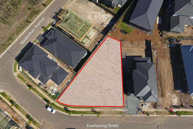 Third view of Homely residentialLand listing, No.3 Everlasting Street, Denham Court NSW 2565