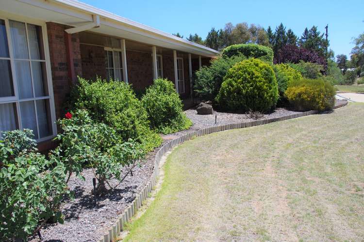 Third view of Homely house listing, 31 Babs Court, Tocumwal NSW 2714