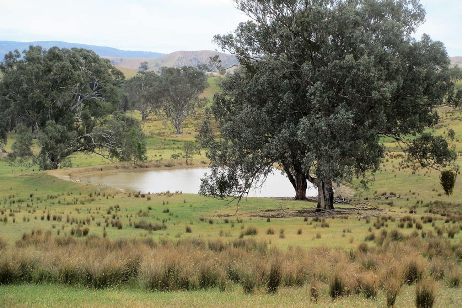 Main view of Homely livestock listing, Part of 1 Lethbridge St, Alexandra VIC 3714