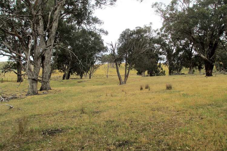 Third view of Homely livestock listing, Part of 1 Lethbridge St, Alexandra VIC 3714