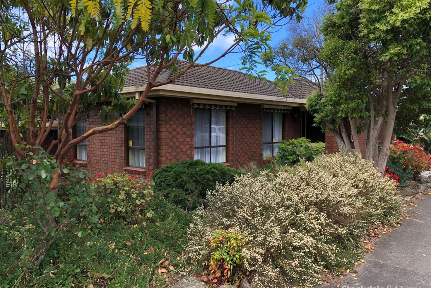 Main view of Homely house listing, 43 Larcombe St, Highton VIC 3216