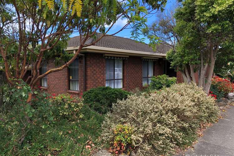 Main view of Homely house listing, 43 Larcombe St, Highton VIC 3216