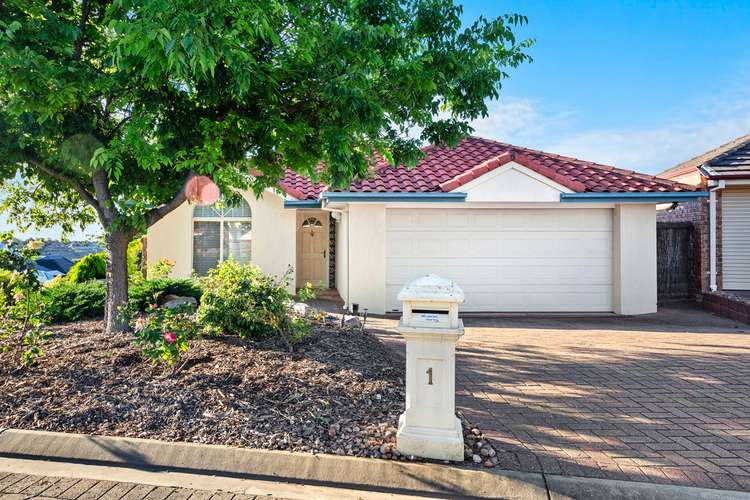 1 Elba Court, Greenwith SA 5125