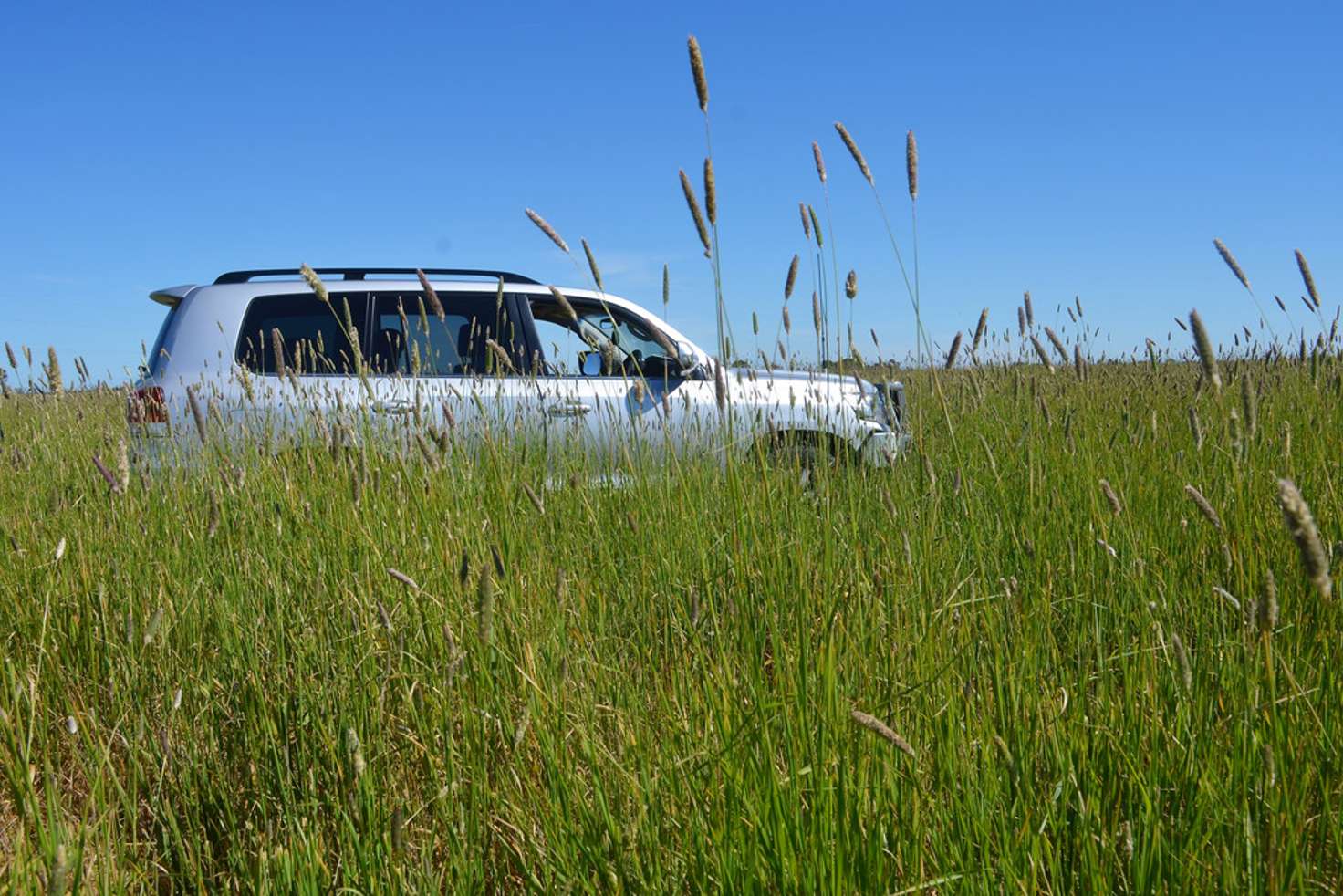 Main view of Homely mixedFarming listing, 240 Old Avenue Road, Lucindale SA 5272