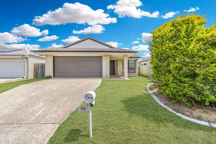 Main view of Homely house listing, 13 TUOHY CT, Rothwell QLD 4022