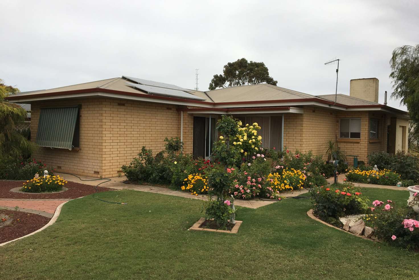 Main view of Homely house listing, 12 Traeger Street, Cleve SA 5640