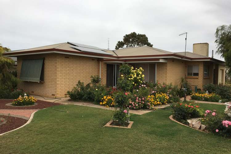 Main view of Homely house listing, 12 Traeger Street, Cleve SA 5640