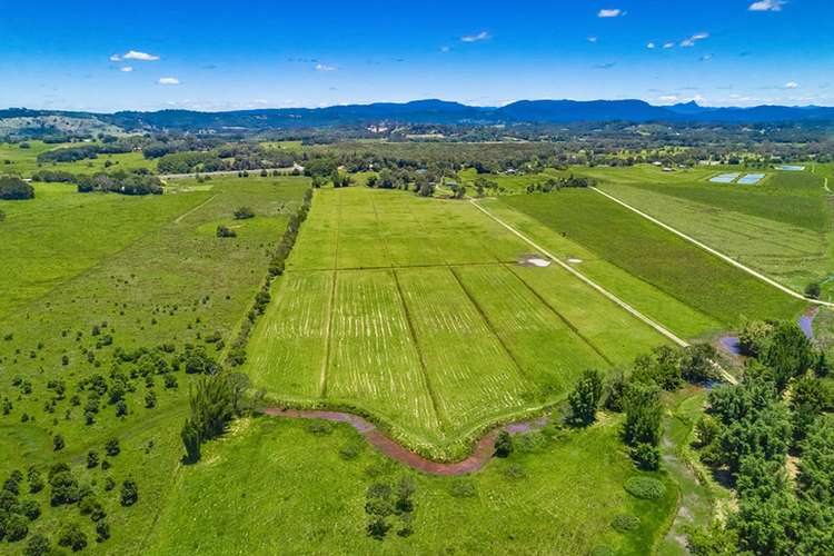 Seventh view of Homely acreageSemiRural listing, 246 Woodford Lane, Ewingsdale NSW 2481