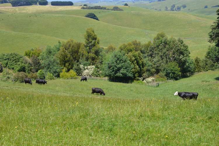 Third view of Homely livestock listing, 76 BUCHANANS ROAD, Bena VIC 3946