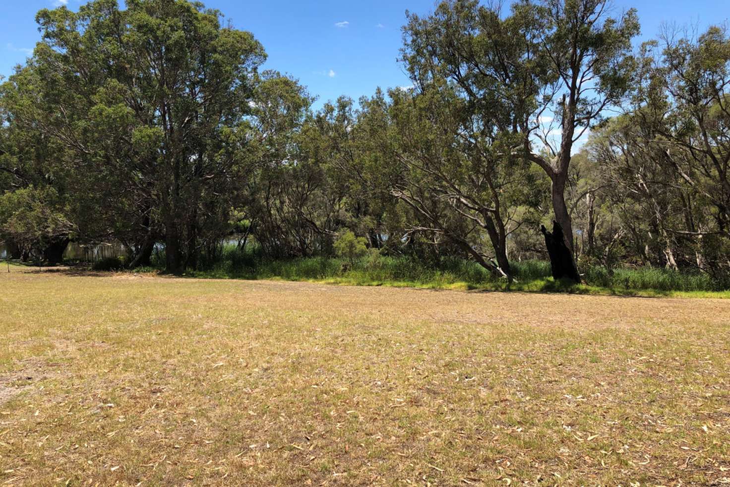 Main view of Homely residentialLand listing, Lot 181 Treloar Road, Capel WA 6271