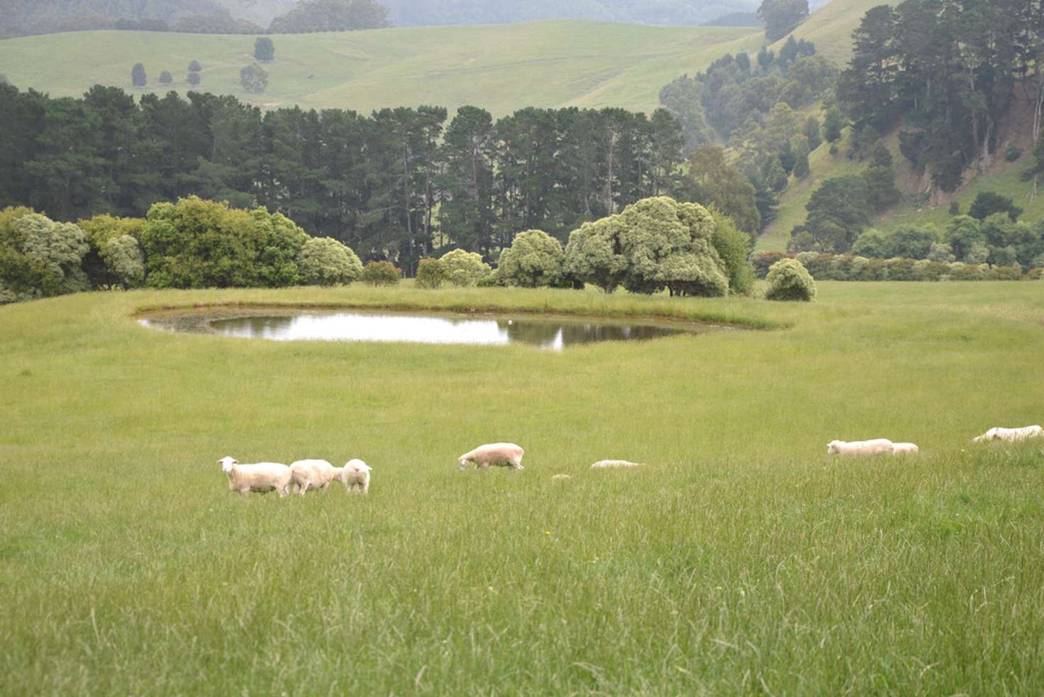 Main view of Homely livestock listing, 40 CLARKES ROAD, Allambee Reserve VIC 3871