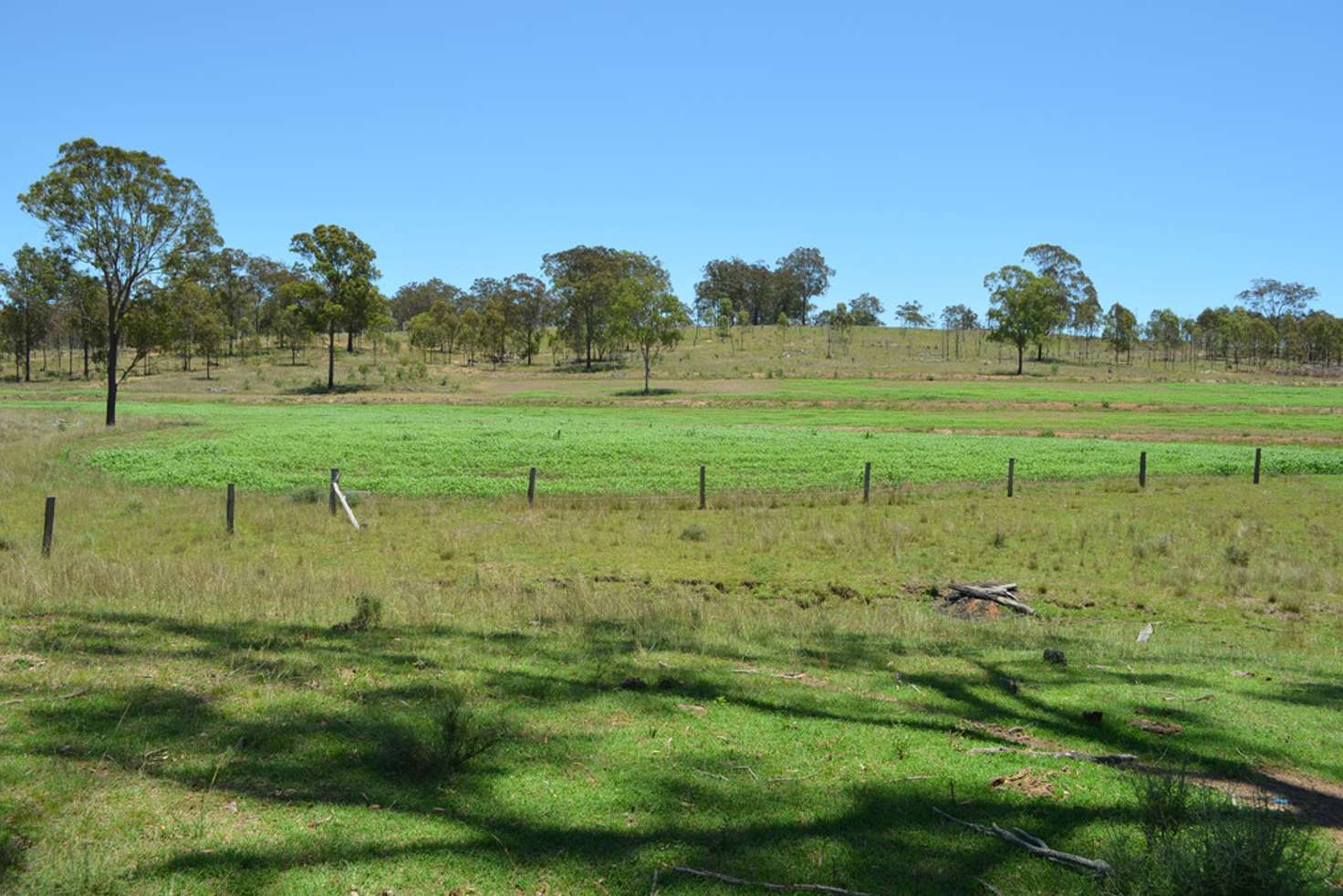 Main view of Homely residentialLand listing, Lot 1 New England Hwy, Coalbank QLD 4352