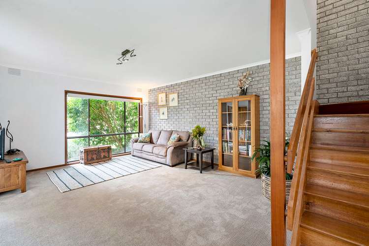 Main view of Homely townhouse listing, 19 Woodland Drive, Cheltenham VIC 3192