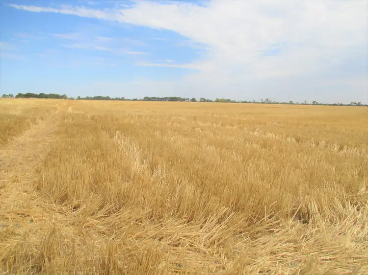 Lot 4 Makin Road, Keith SA 5267