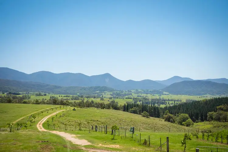 3537 Snowy Mtns Hwy, Bemboka NSW 2550