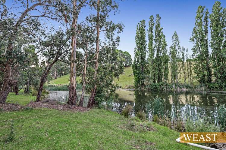Second view of Homely ruralOther listing, 120 Wandin Creek Road,, Wandin East VIC 3139