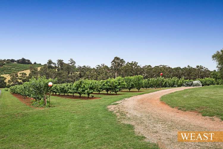 Fourth view of Homely ruralOther listing, 120 Wandin Creek Road,, Wandin East VIC 3139