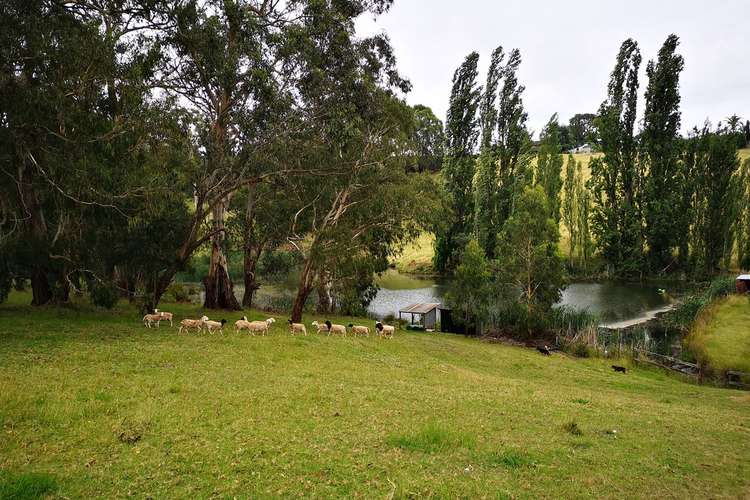 Sixth view of Homely ruralOther listing, 120 Wandin Creek Road,, Wandin East VIC 3139