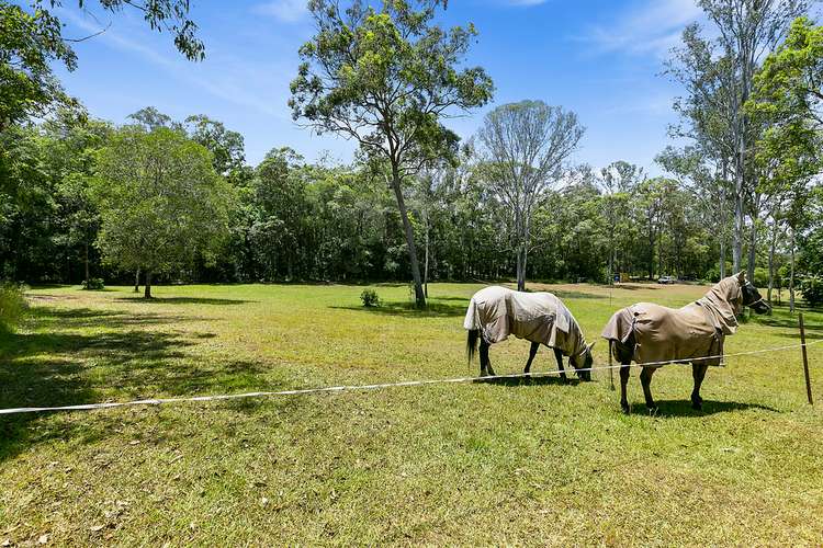 Sixth view of Homely house listing, 135 Pomona Kin Kin Road, Pinbarren QLD 4568