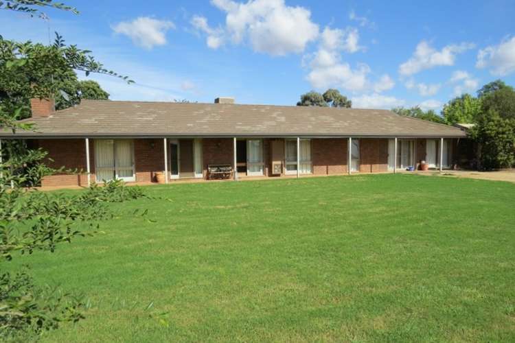 Second view of Homely mixedFarming listing, 606 Healy Road, Cobram East VIC 3644