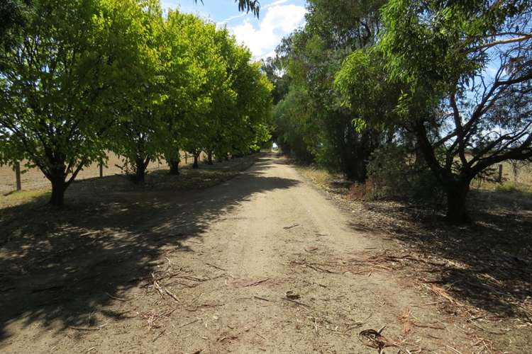 Third view of Homely mixedFarming listing, 606 Healy Road, Cobram East VIC 3644