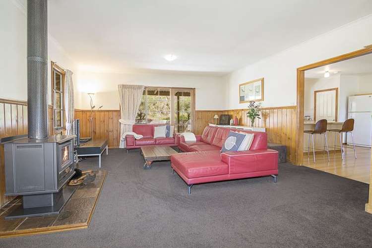 Fifth view of Homely house listing, 31 Mt Vue Road, Healesville VIC 3777