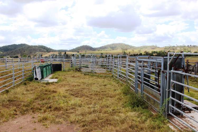 Seventh view of Homely livestock listing, Address available on request