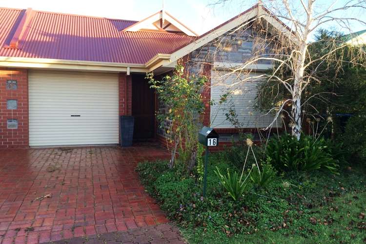 Main view of Homely house listing, 16 Springhill Ave, Oakden SA 5086