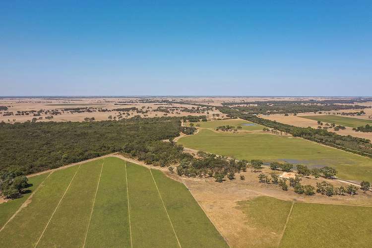 Seventh view of Homely mixedFarming listing, 849 Avenue Range Road, Kingston Se SA 5275