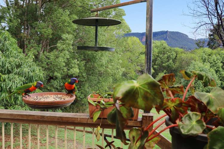 Seventh view of Homely house listing, Lot 25 Basil Road, Nimbin NSW 2480