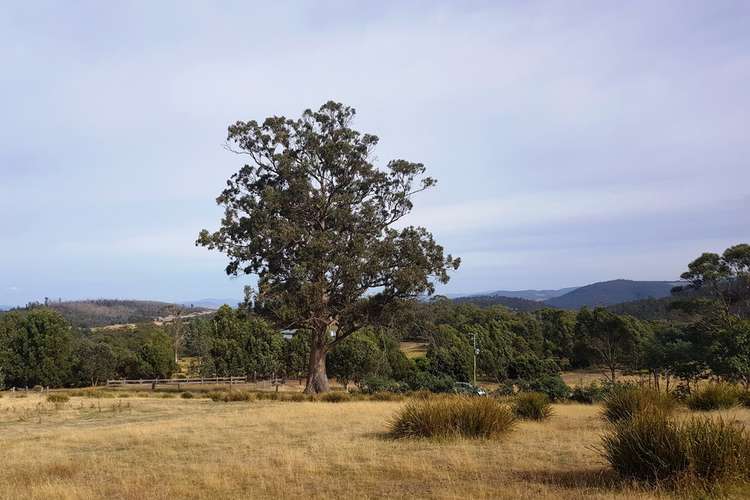 Fourth view of Homely residentialLand listing, Lot 3, 456 White Hill Road, Forcett TAS 7173