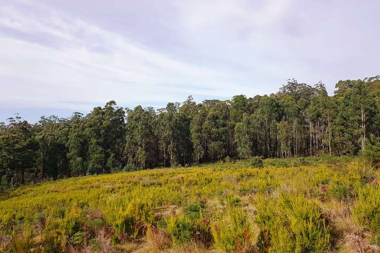 Seventh view of Homely residentialLand listing, Lot 3, 456 White Hill Road, Forcett TAS 7173