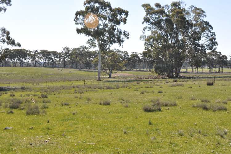 Sixth view of Homely cropping listing, 1247 Nagambie - Rushworth Road, Bailieston VIC 3608