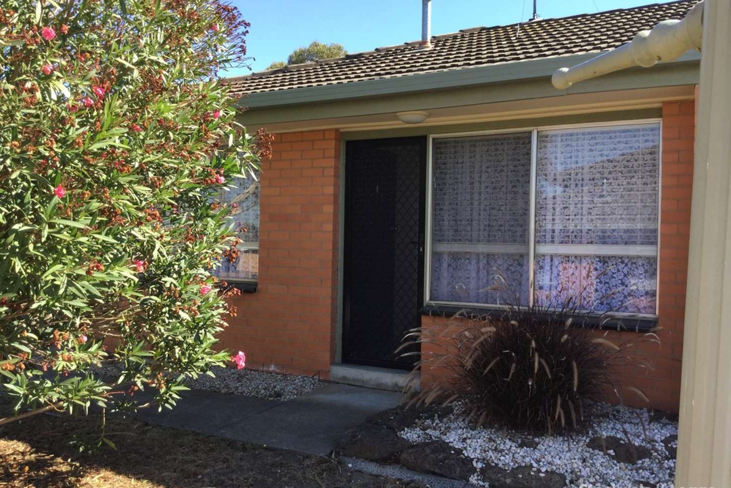 Main view of Homely unit listing, 1/62 James Street, Belmont VIC 3216