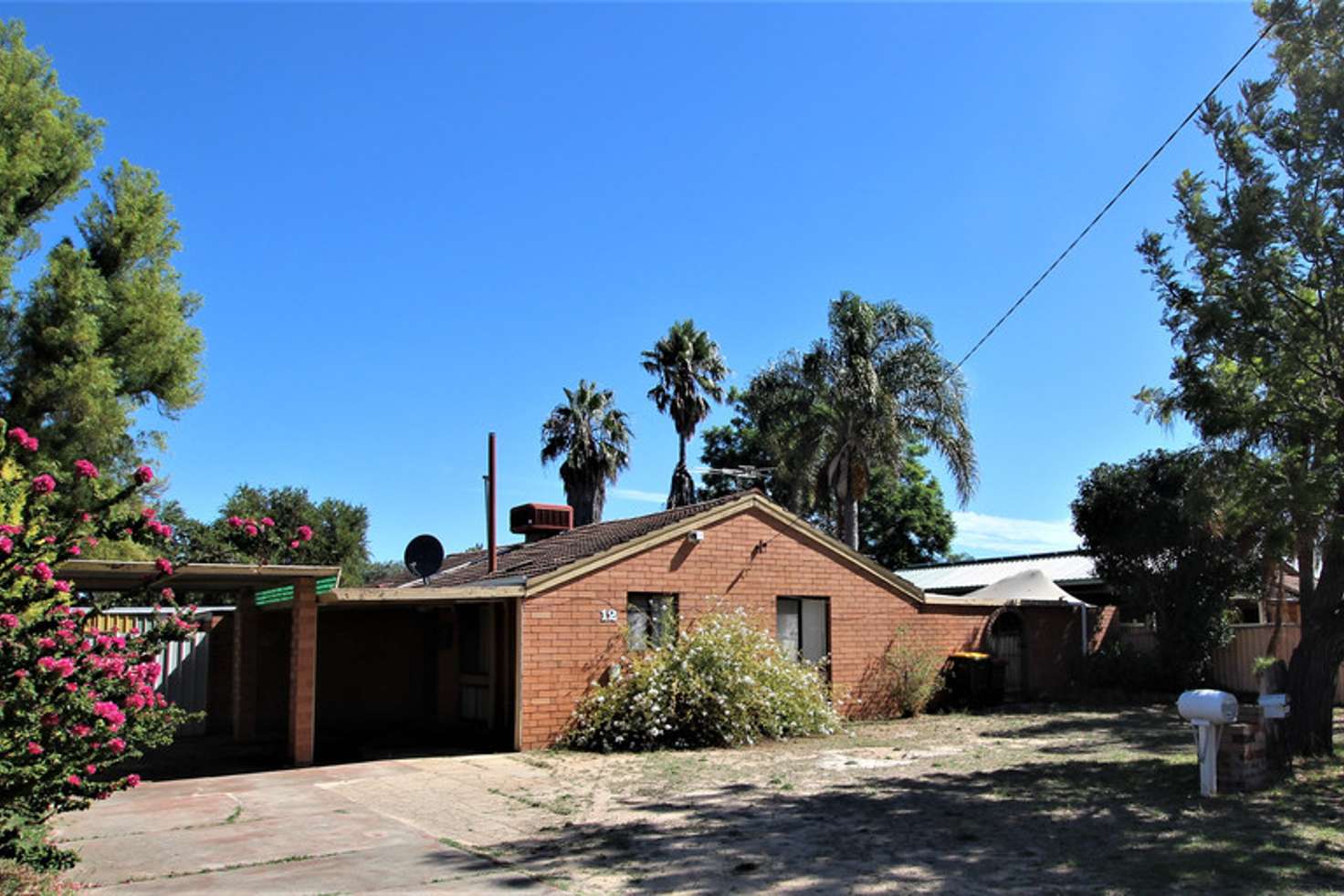 Main view of Homely house listing, 12 Pimelea Place, Pinjarra WA 6208