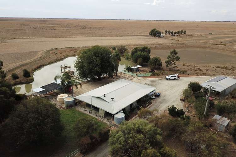 Seventh view of Homely mixedFarming listing, 126 Wilson Road, Jerilderie NSW 2716