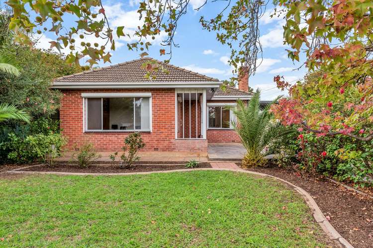 Main view of Homely house listing, 50 Woodlands Terrace, Edwardstown SA 5039