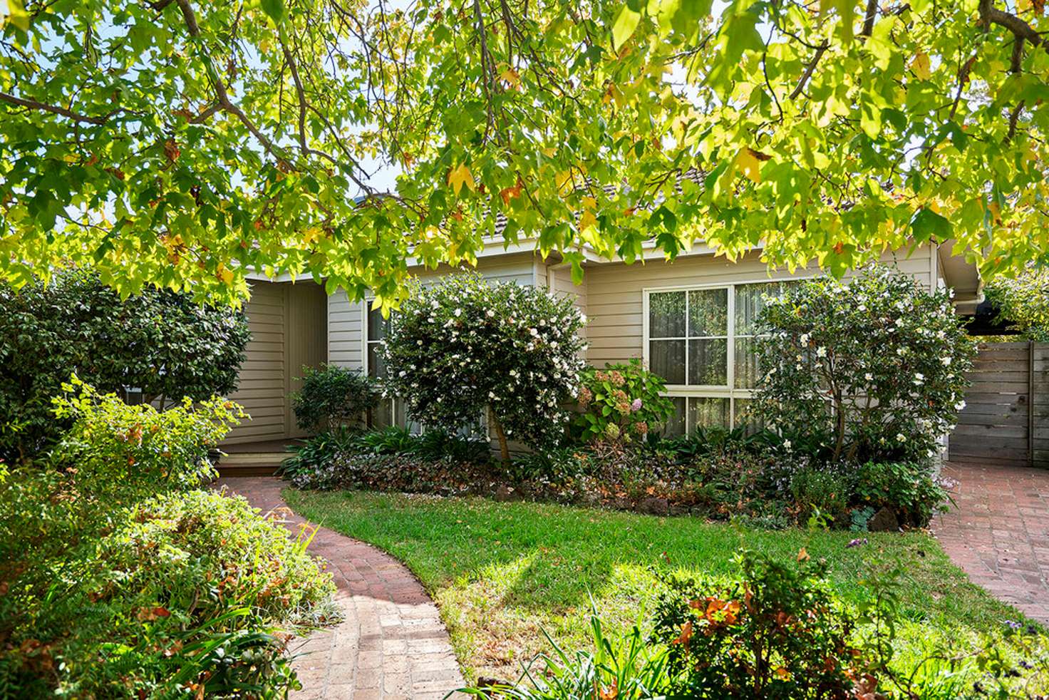 Main view of Homely house listing, 31 Voltri Street, Cheltenham VIC 3192