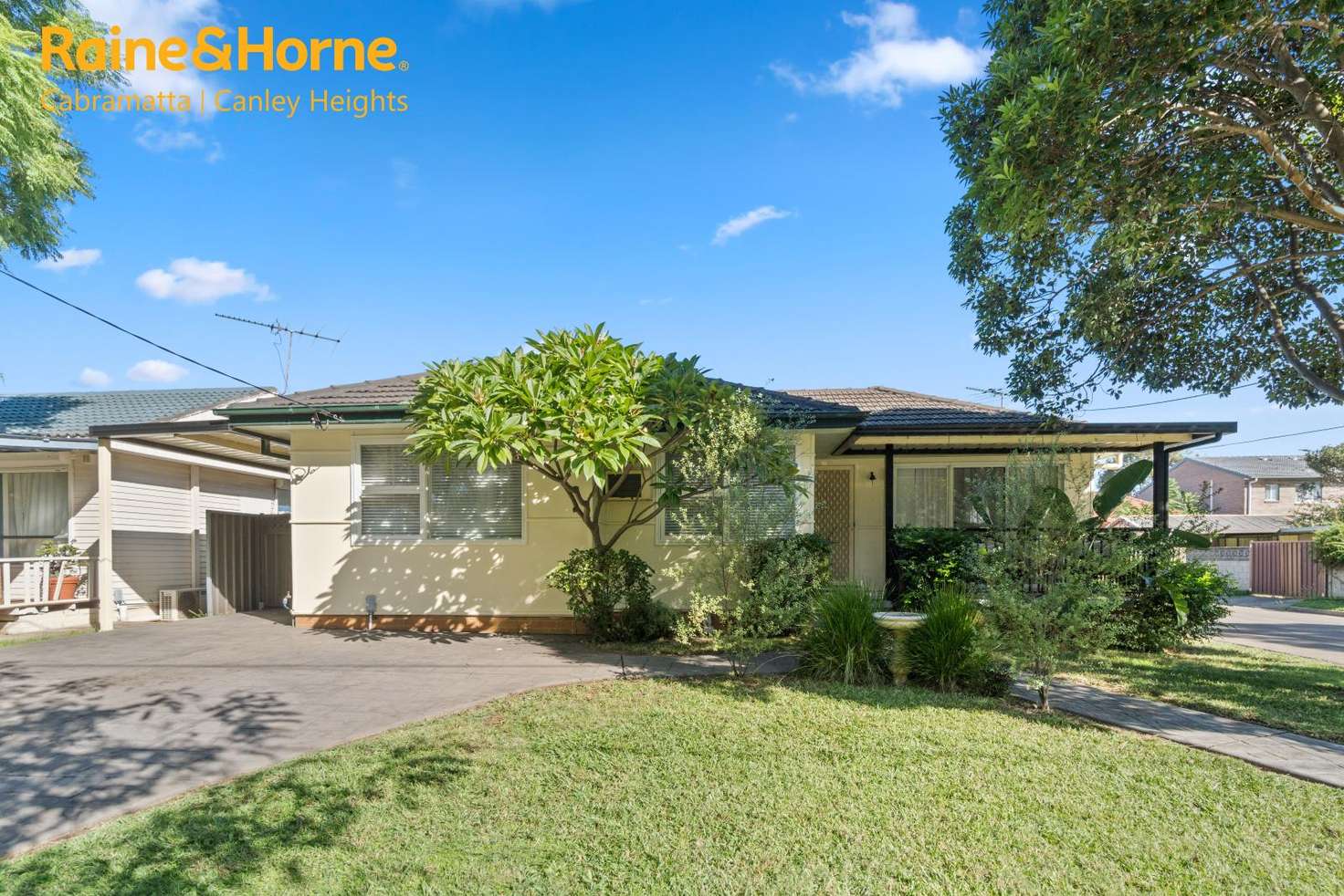 Main view of Homely house listing, 19 KAROON AVENUE, Canley Heights NSW 2166