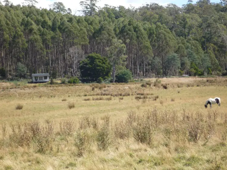 493 Priestleys Lane, Birralee TAS 7303