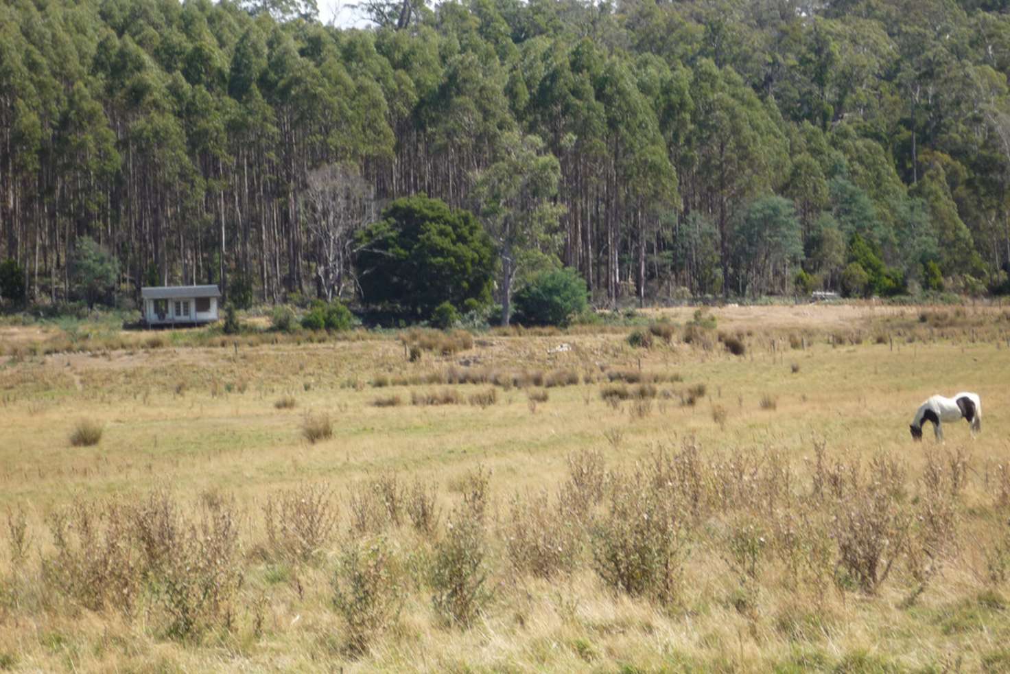 Main view of Homely residentialLand listing, 493 Priestleys Lane, Birralee TAS 7303