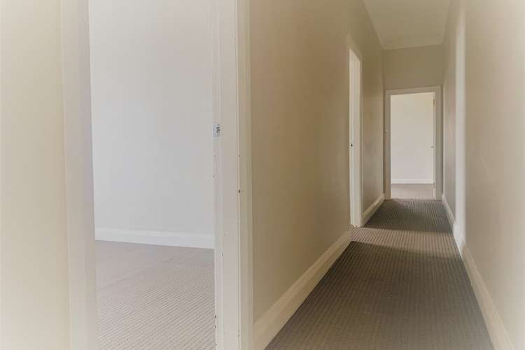 Second view of Homely apartment listing, 1/16 Crystal St, Petersham NSW 2049