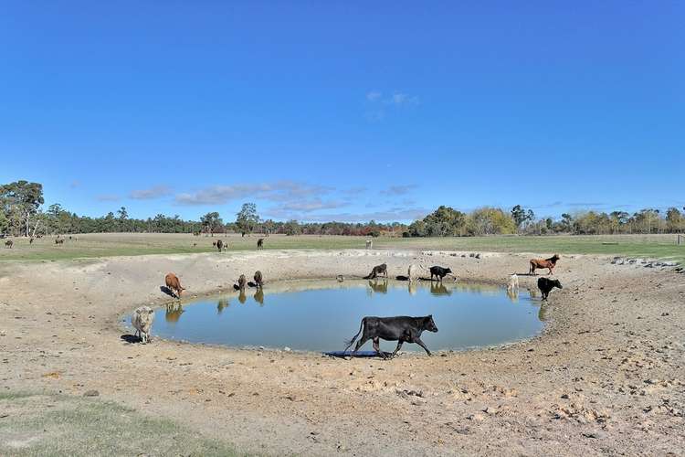 Fourth view of Homely house listing, 116 Berry Road, Gidgegannup WA 6083