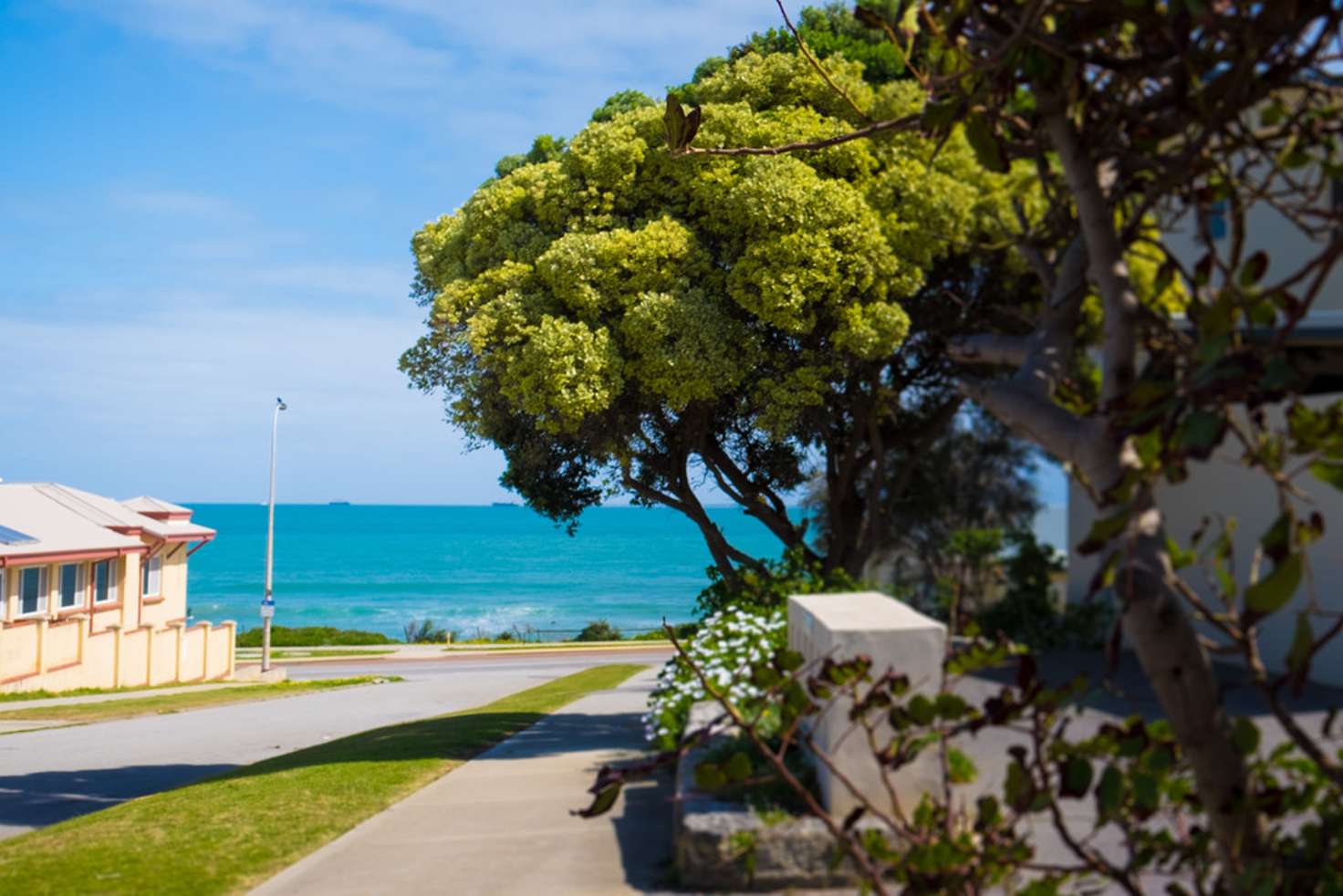 Main view of Homely apartment listing, 6/8 MACARTHUR STREET, Cottesloe WA 6011