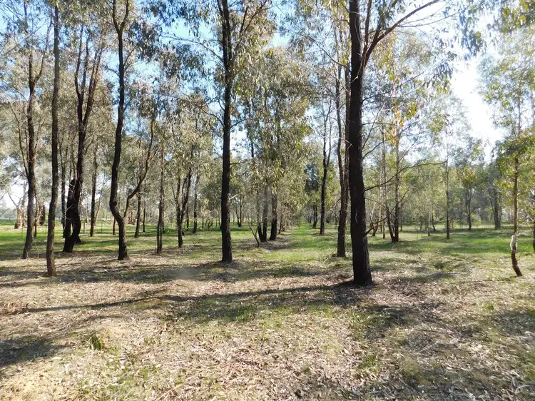 Seventh view of Homely rural property listing, Address available on request