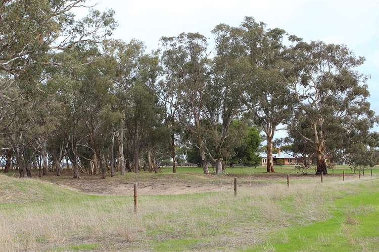Second view of Homely house listing, 386 Hutchings Road, Bordertown SA 5268