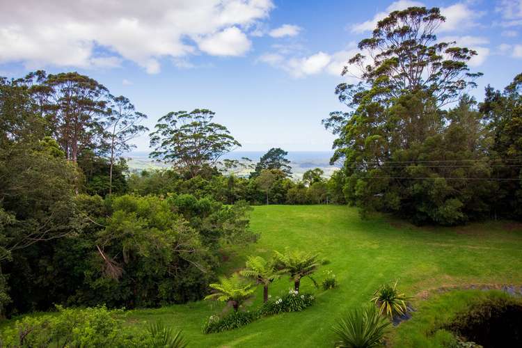 Fifth view of Homely house listing, 501 Kangaroo Valley Road, Berry NSW 2535