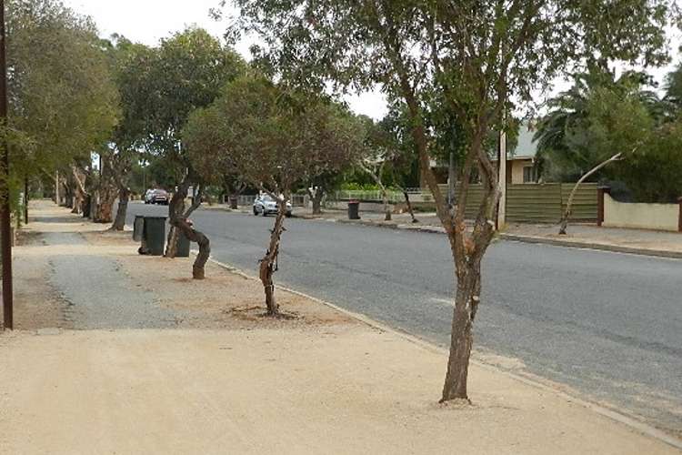 Fourth view of Homely residentialLand listing, 5 Dickerson Street, Barmera SA 5345