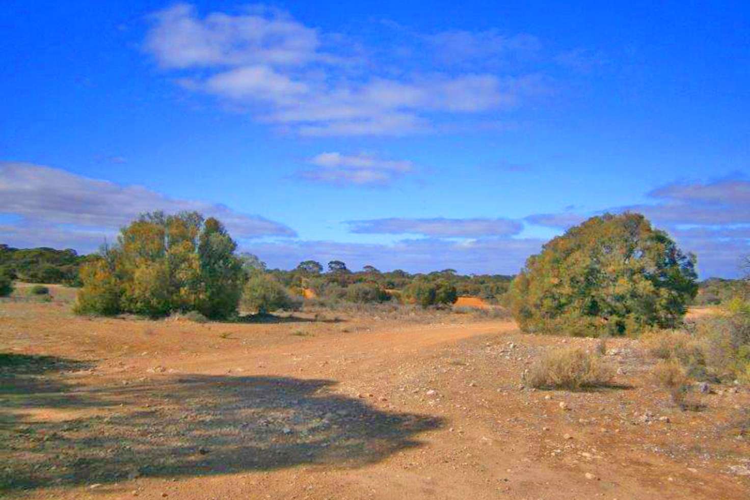 Main view of Homely ruralOther listing, Lot 91 Sturt Highway, Blanchetown SA 5357