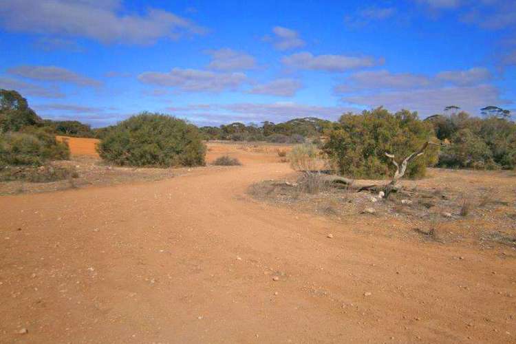 Fifth view of Homely ruralOther listing, Lot 91 Sturt Highway, Blanchetown SA 5357